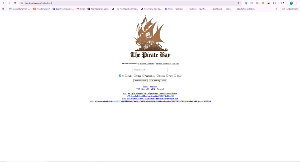  The Pirate Bay homepage